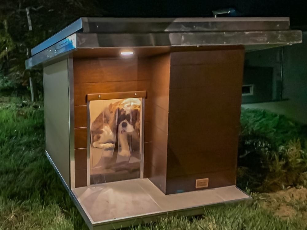 Cuccia ispirata a casa Ecologica 9