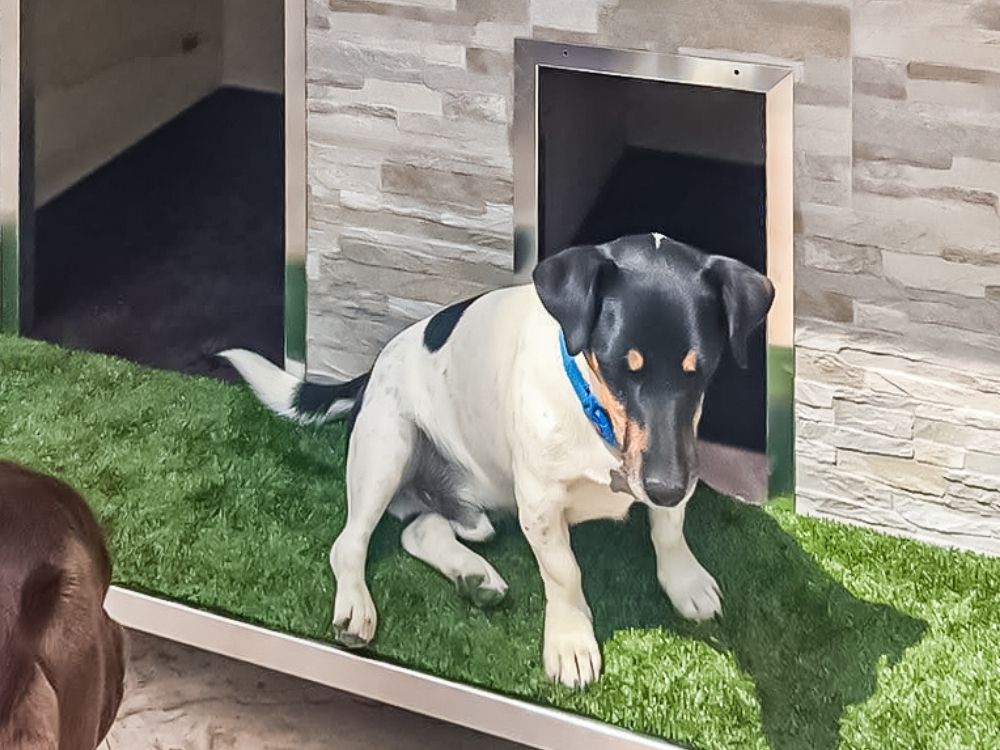 Cuccia ispirata a casa Pescara 8