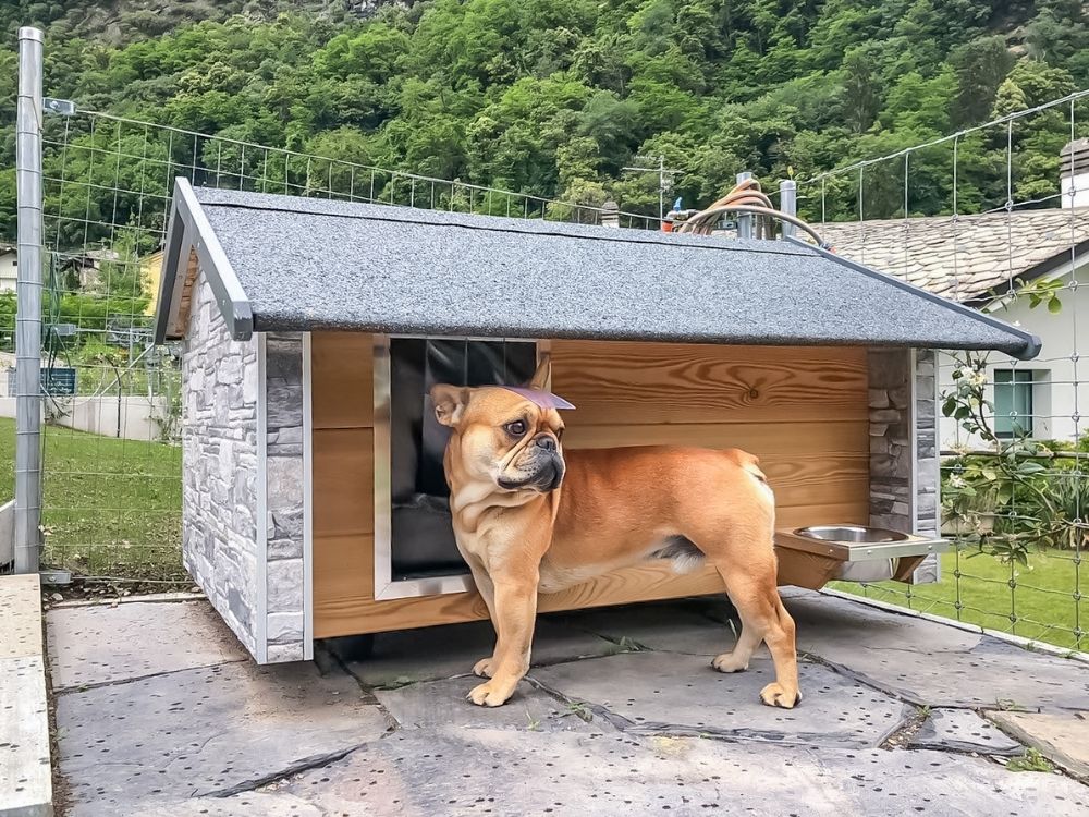 Cuccia ispirata a casa Sondrio 6