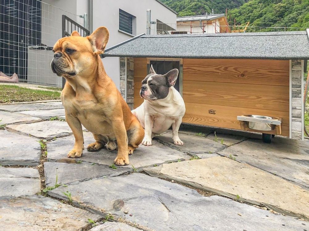 Cuccia ispirata a casa Sondrio 7