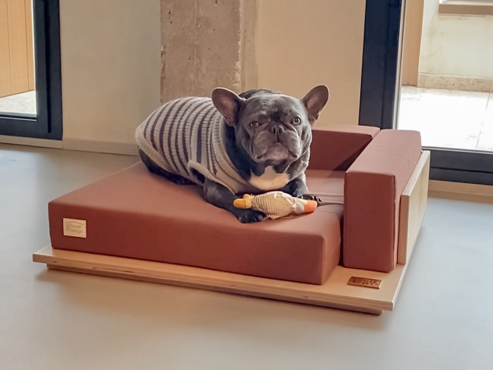 Cane con cuccia personalizzata