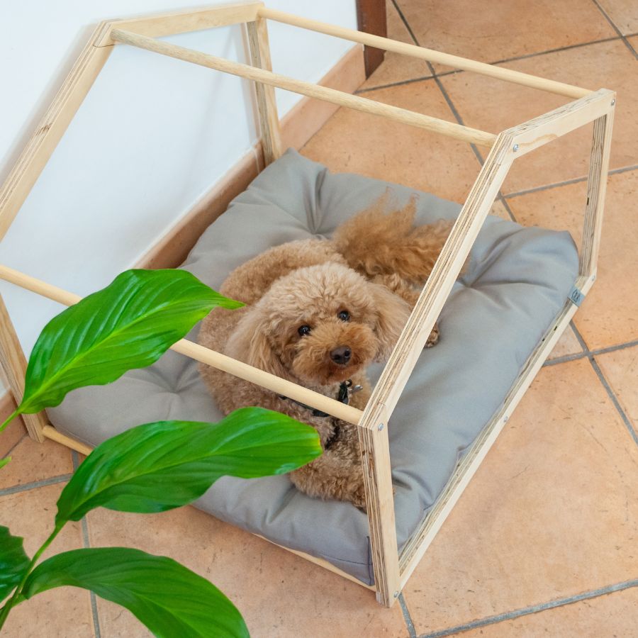 Cuccetta da interno per cani a casetta tenda Quadrata