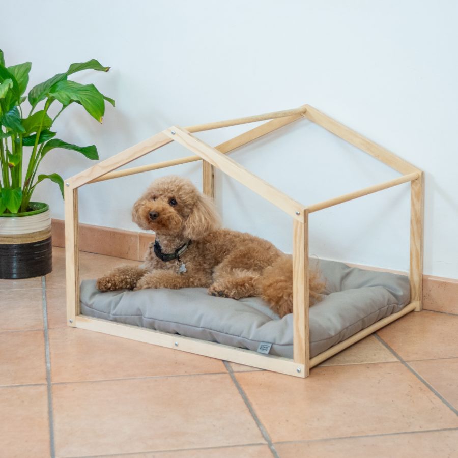 Lettino da interno a casetta tenda con cane Quadrata